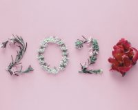 2020-made-from-natural-leaves-flowers-pink-background-happy-new-year-wellness-healthy-lifestyle_49149-1073 2020-made-from-natural-leaves-flowers-pink-background-happy-new-year-wellness-healthy-lifestyle_49149-1073